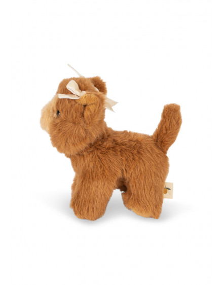Baby Animals Brown Cat 3