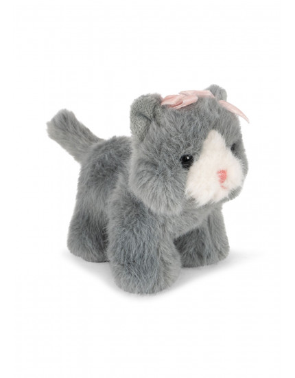 Baby Animals Grey Cat