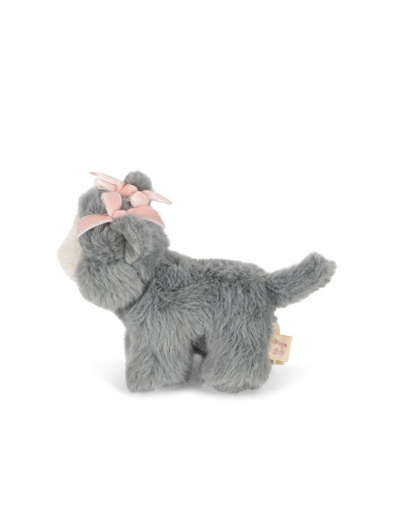 Baby Animals Grey Cat 3