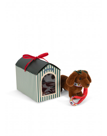 Pet Puppy Multi