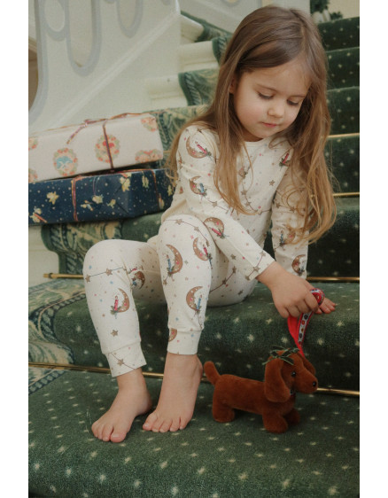 Pet Puppy Multi 5