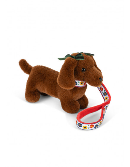 Pet Puppy Multi 4