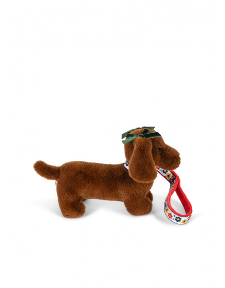 Pet Puppy Multi 3