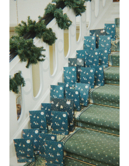Chistmas Calendar With 24 Gifts Blue 3
