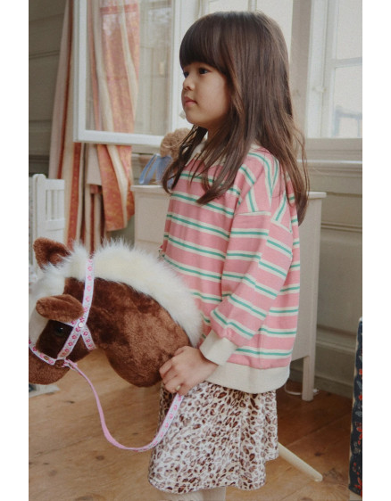 Stormy Horse Multi 7