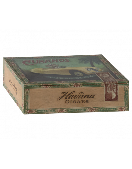 Grandma & Grandpa Mice in Cigarbox 6