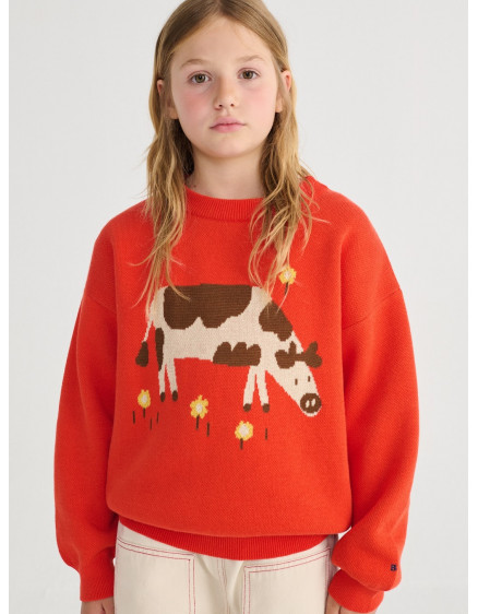 Farm Adventure Jumper Red 3