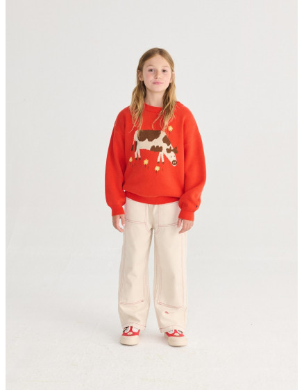 Farm Adventure Jumper Red 5