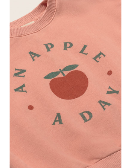 Ruffle Baby Sweatshirt Rose Liana 2