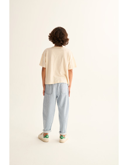 Джинси Striped Denim Blue Echok 4