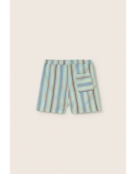 Striped Shorts Aqua Zion 3