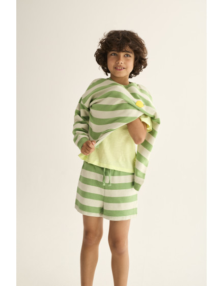 Striped Shorts Green Orion 4