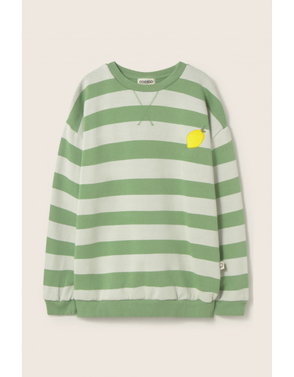 Striped Sweatshirt Green Dan 10Y