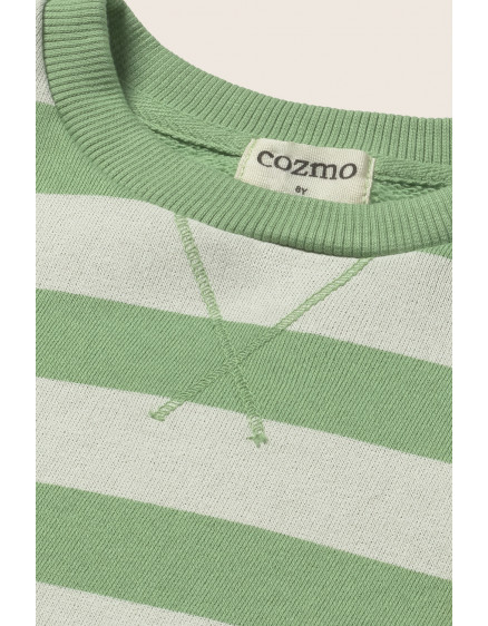 Striped Sweatshirt Green Dan 4