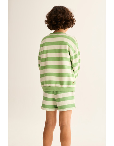 Striped Sweatshirt Green Dan 3