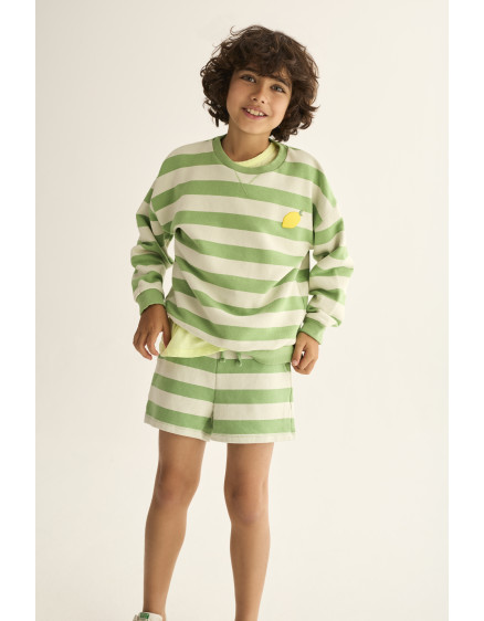 Striped Sweatshirt Green Dan 2