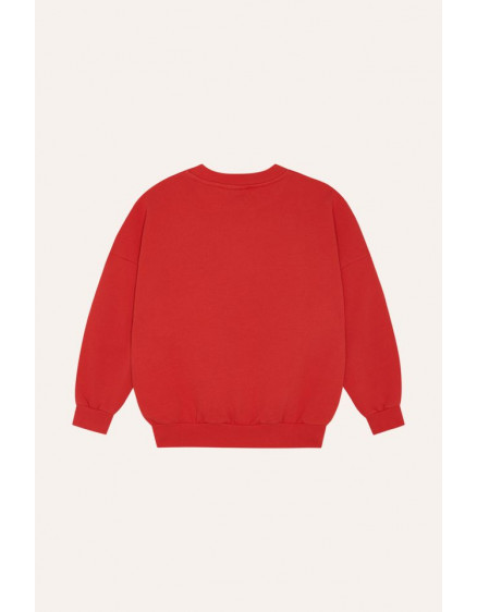 Reading Lion Sweatshirt 4