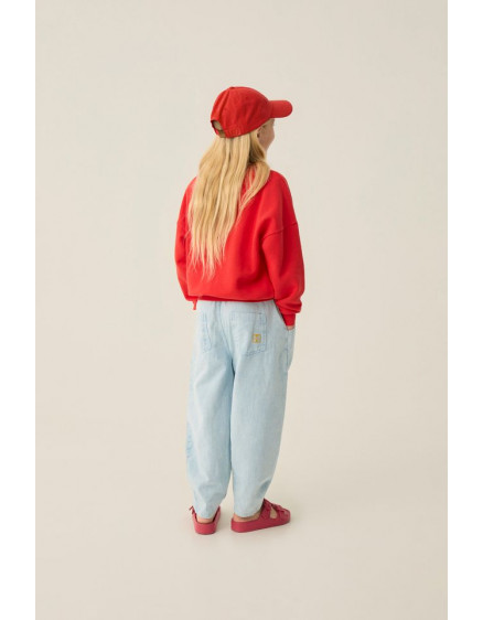 Reading Lion Sweatshirt 2