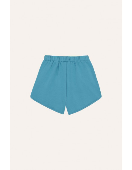 Falling Star Shorts 4