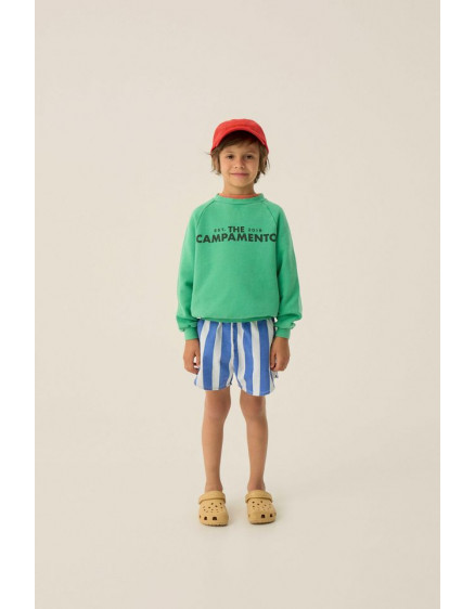 Blue Stripes Washed Shorts 5