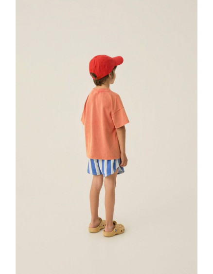 Blue Stripes Washed Shorts 2