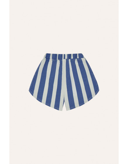Blue Stripes Washed Shorts 6