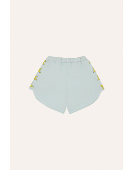 Stars Washed Shorts 4