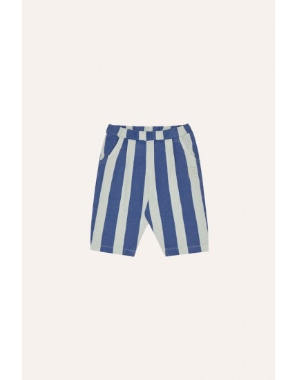 Штани Blue Stripes 3-6М