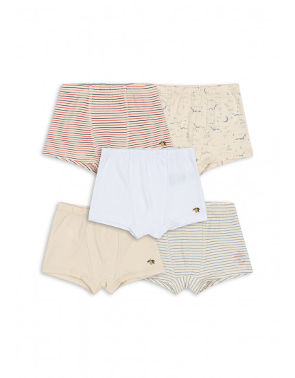 Basic 5 Pack Boy Boxers Multi 2Y
