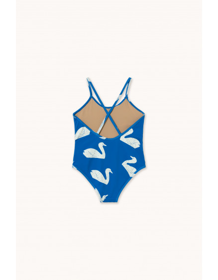 Big Swans Swimsuit Blue 5