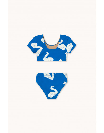 Big Swans Swim Set Blue 5