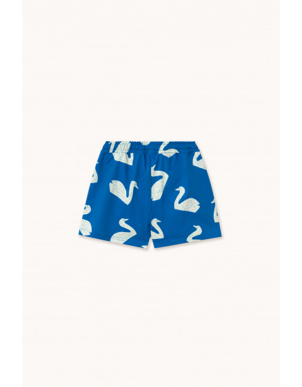 Плавки Big Swans Blue 4