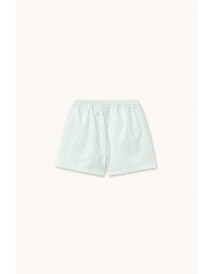 Fine Striper Trunks Light Cyan 4