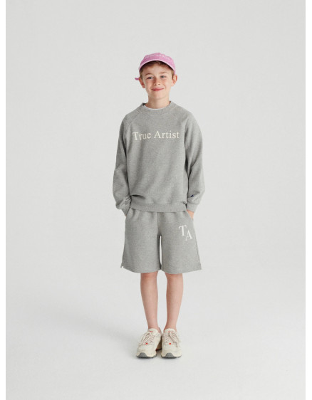 Світшот nº01 Melange Gray 4