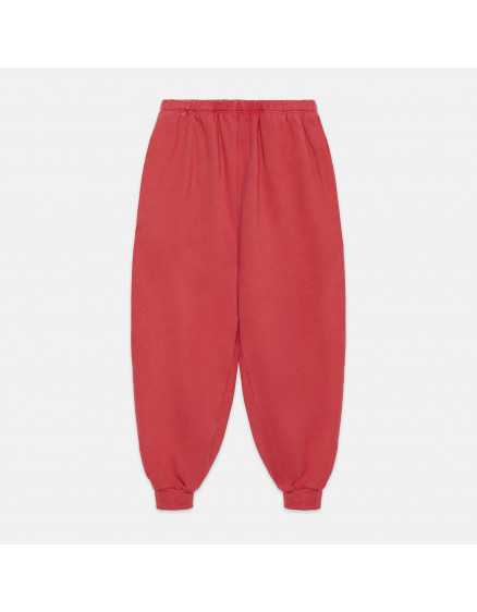 Cute Dog Red Set 3