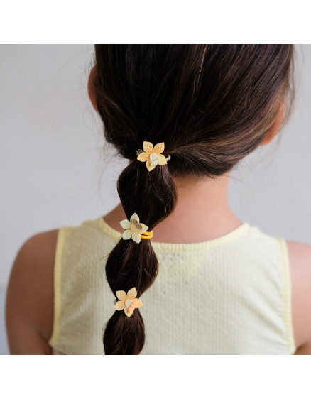 Daffodil Mini Ponies Yellow 3