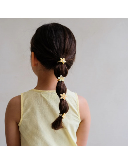 Daffodil Mini Ponies Yellow 4