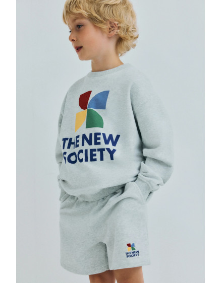 TNS Logo Sweatshirt Light Grey Melange 4