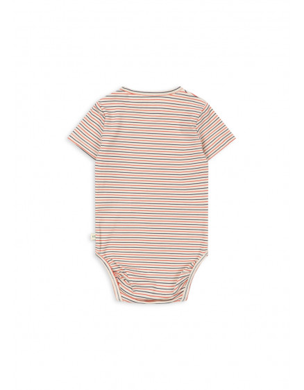Basic SS Body Stripe Petit 5