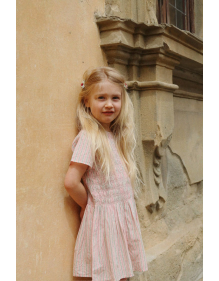 Luli Dress Blush Stripe 3
