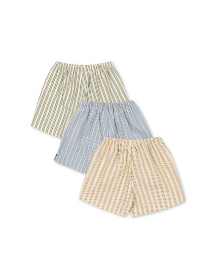 3 Pack Asli Shorts Orchid/Basil Stripe 2