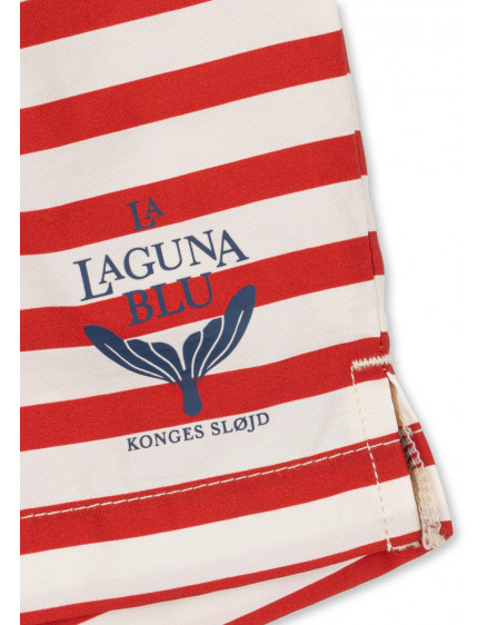Asnou Swim Shorts Stripe Rouge 4
