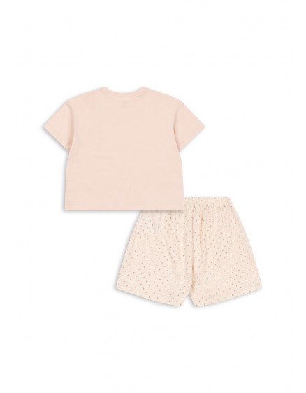 Famo Box Set Creole Pink 3