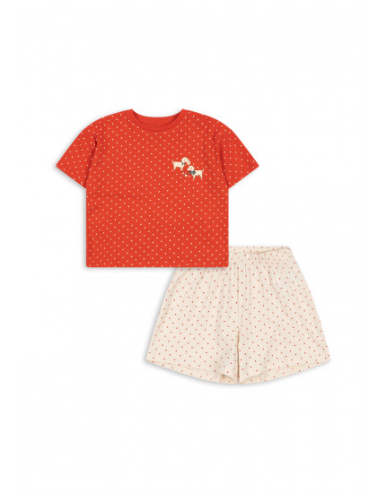 Famo Box Set Fraise Dot