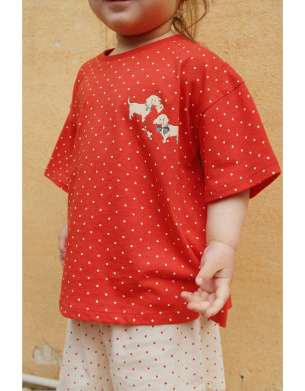 Famo Box Set Fraise Dot 2