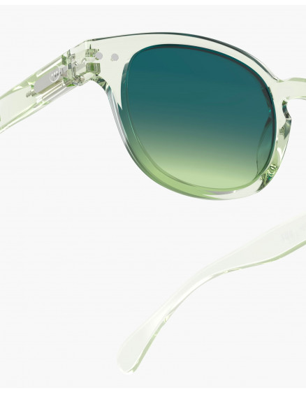 Дорослі окуляри #C Green Fields Polarized 5