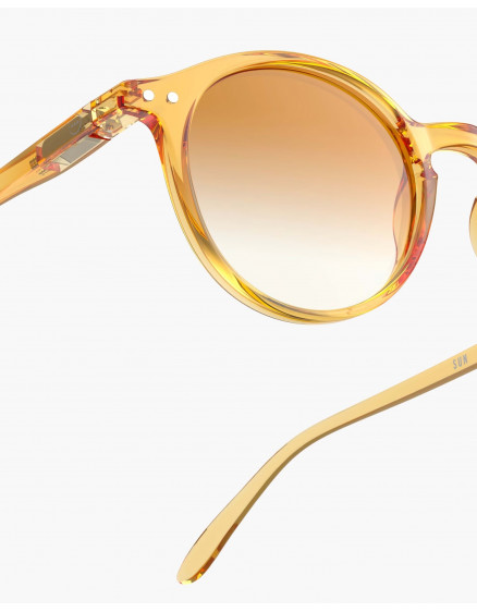 Дорослі окуляри #D Golden Canyon Polarized 5