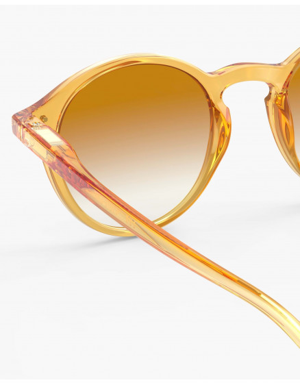 Дорослі окуляри #D Golden Canyon Polarized 4