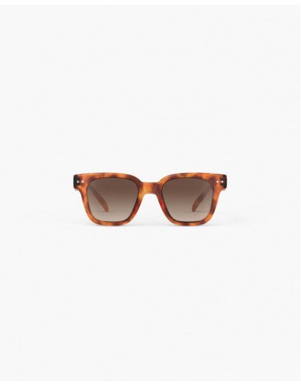 Sunglasses #Road Glossy Havana 5-7 6