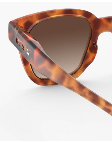 Sunglasses #Road Glossy Havana 5-7 4